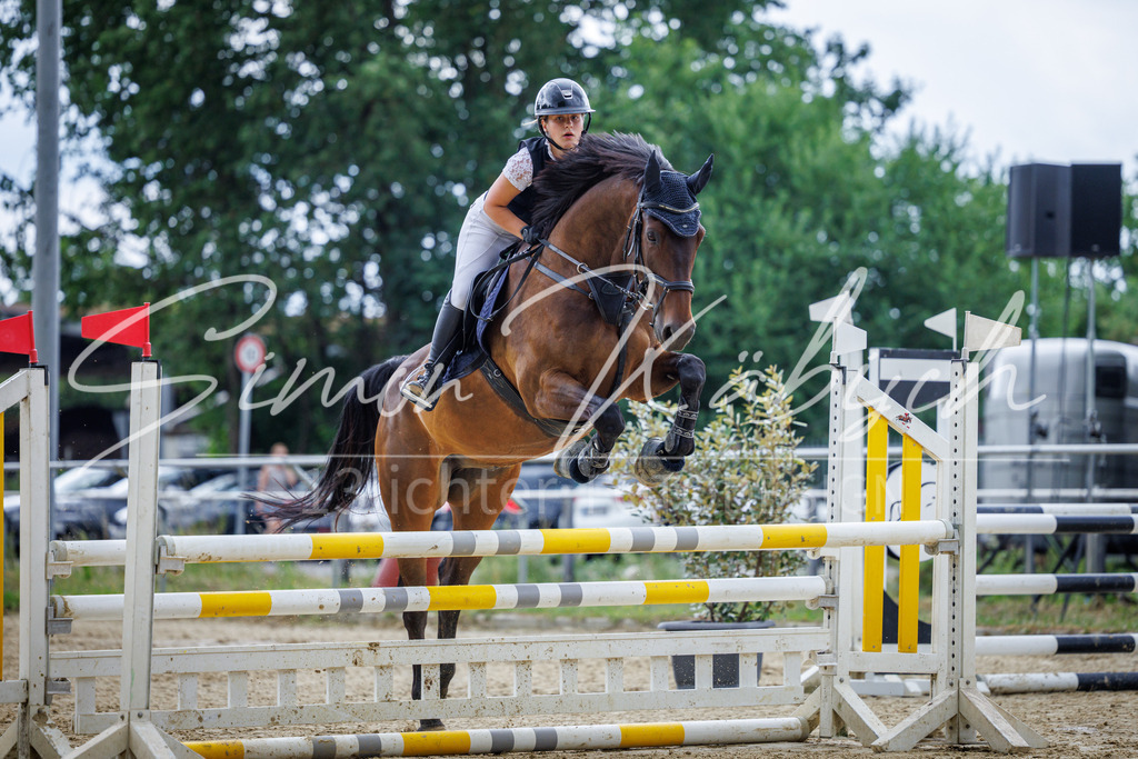 20260705-_3LI4985 | Tierfotografie Pferde, Hunde, Katzen, Haustiere.
Turnierfotografie Reitturniere, Reiten, Springreiten, Dressur in Hanau, dem Main-Kinzig-Kreis und dem Rhein-Main- Gebiet um Frankfurt