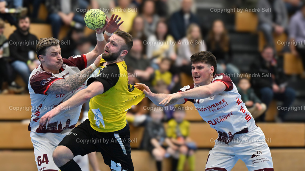 TSV Altenholz vs Stralsunder HV | Simon Seebeck (TSVA #6) vs Fiete Berger (Stralsund #64) &amp; Jonas Wark (Stralsund #31) / Handball 3. Liga Nord-Ost Männer 2025/2026 / TSV Altenholz vs Stralsunder HV / Edgar-Meschkat-Halle / Altenholz / 01.03.26 - Realisiert mit Pictrs.com