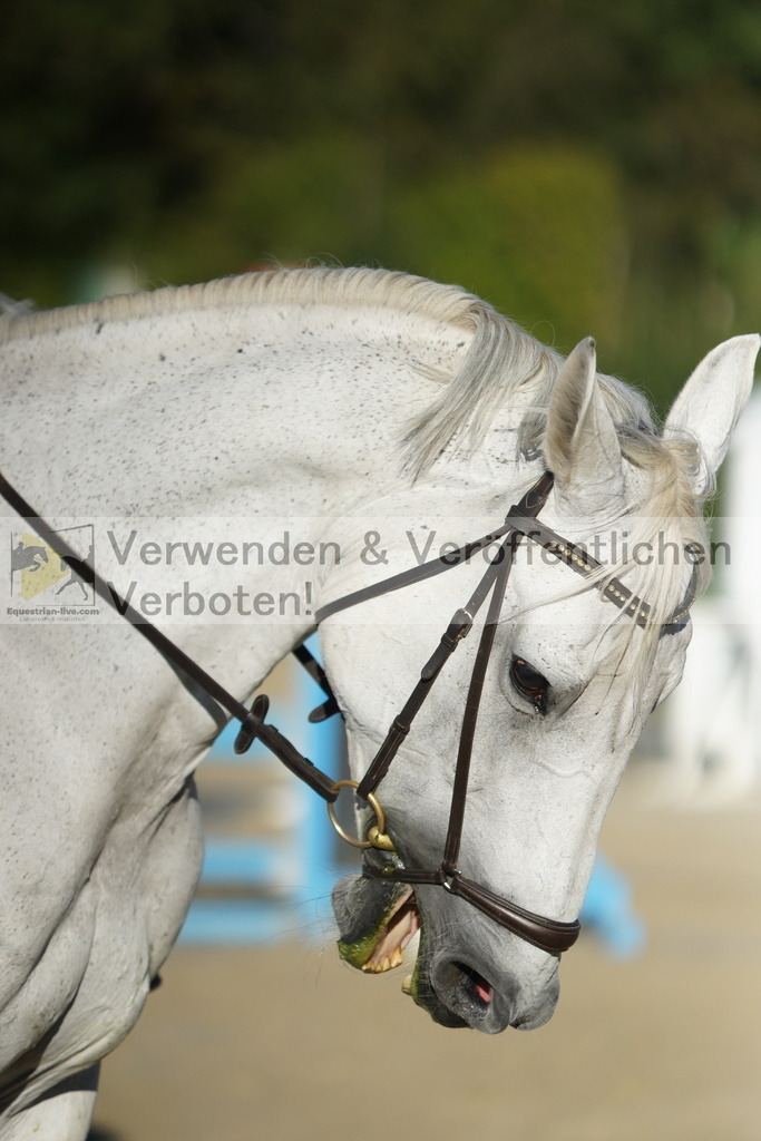 DSC08101 | equestrian-live-com