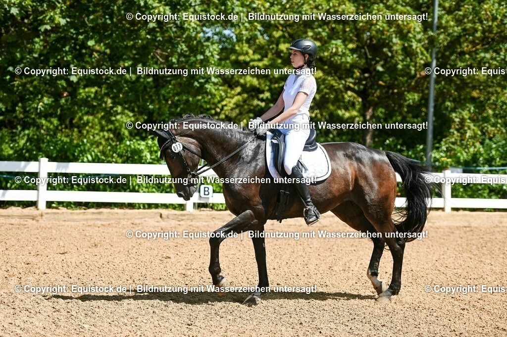20230715_02_Dressurreiterprüfung Kl.L_0044 | equistock