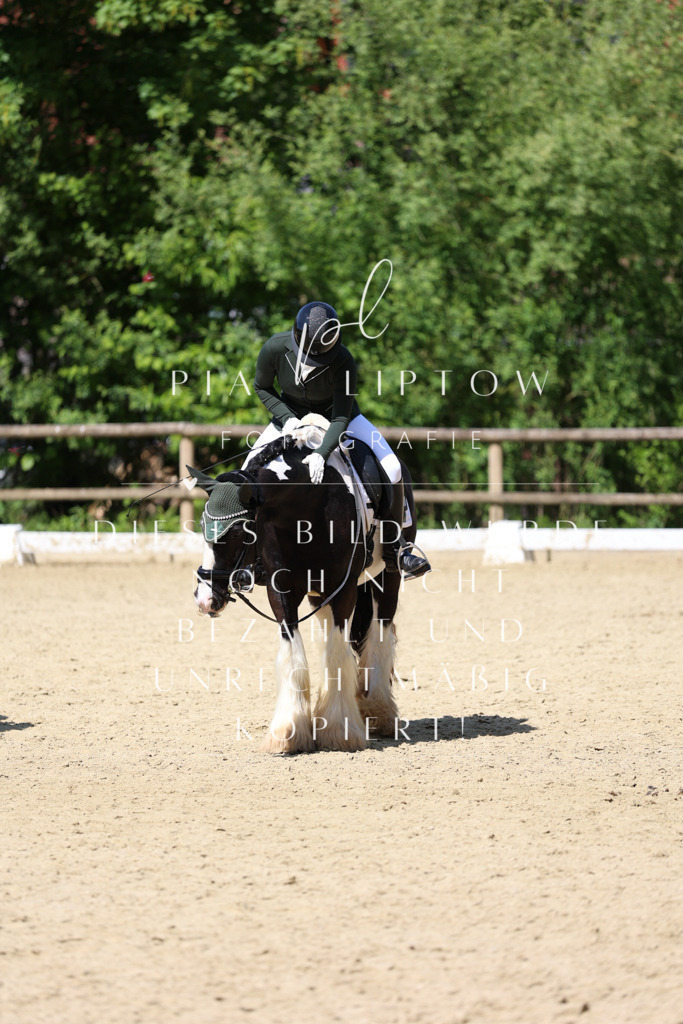 IMGS4203 | pl-fotografie