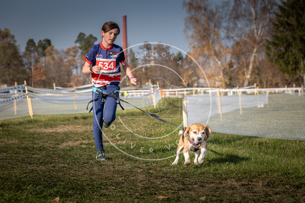 CaniXpix_0L8A9032 | Hundefotografie, Tierfotograf, Pfotenfotografie, Fotoshooting Hund, Hunde Portrait, Hundesport, Hundeportraits, Heideshooting, Hunde, Sportfotograf, Hundefotograf, Turnierhundsport, THS,  - Realisiert mit Pictrs.com