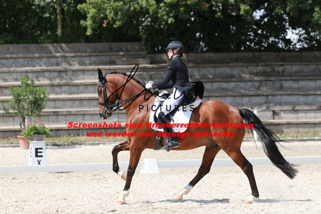 IMG_7550 | lmwpictures - Realisiert mit Pictrs.com