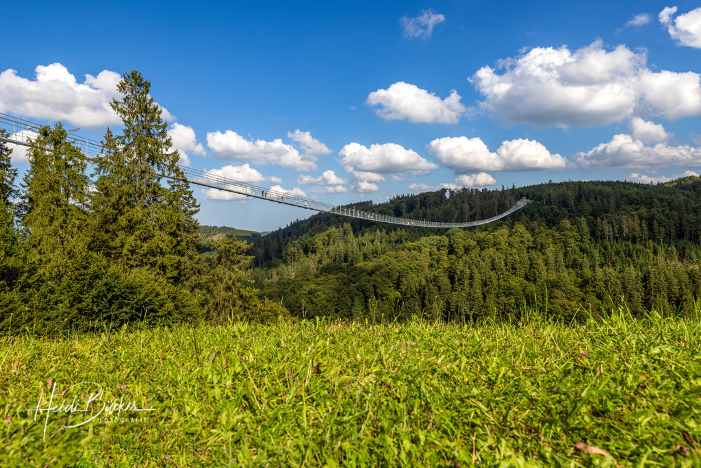 Skywalk Willingen über dem Strycktal | Der Skywalk Willingen ist die längste Hängebrücke Deutschlands und die zweitlängste der Welt. - Realisiert mit Pictrs.com