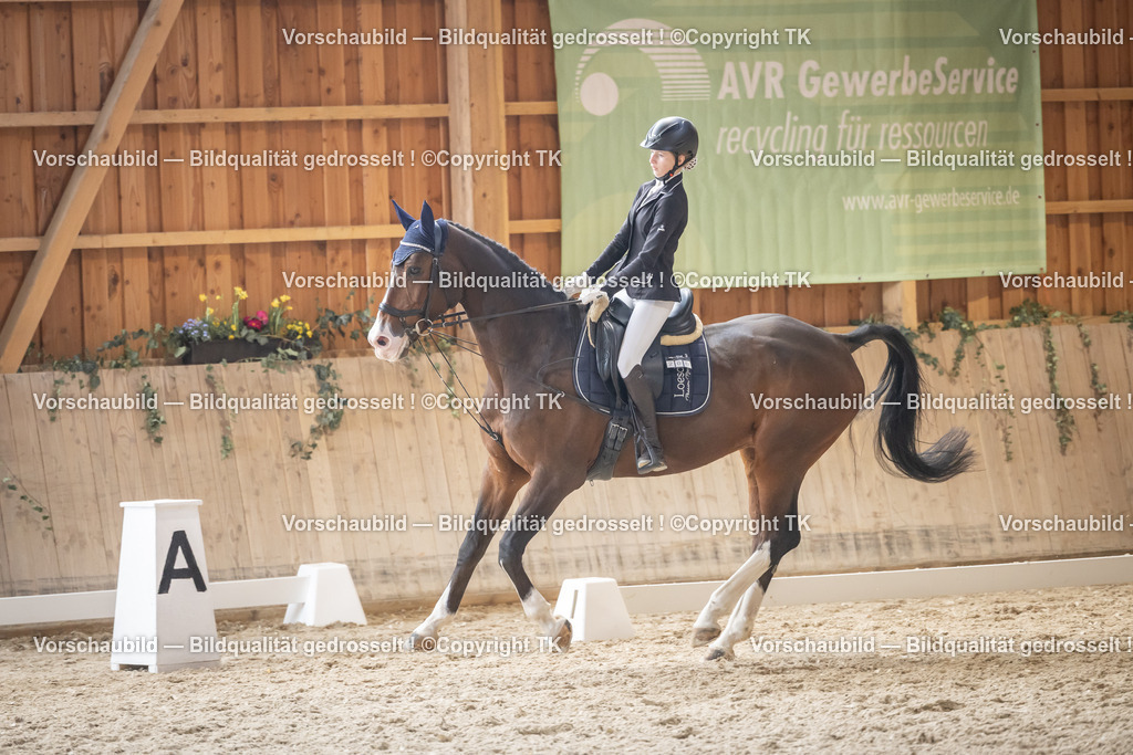 _D5A5633 | Emotionale Pferde- & People-Fotografie rund um Heidelberg, Leimen & Umgebung. Natürliche Fotos von Pferd, Mensch & Familie. Jetzt Termin sichern!