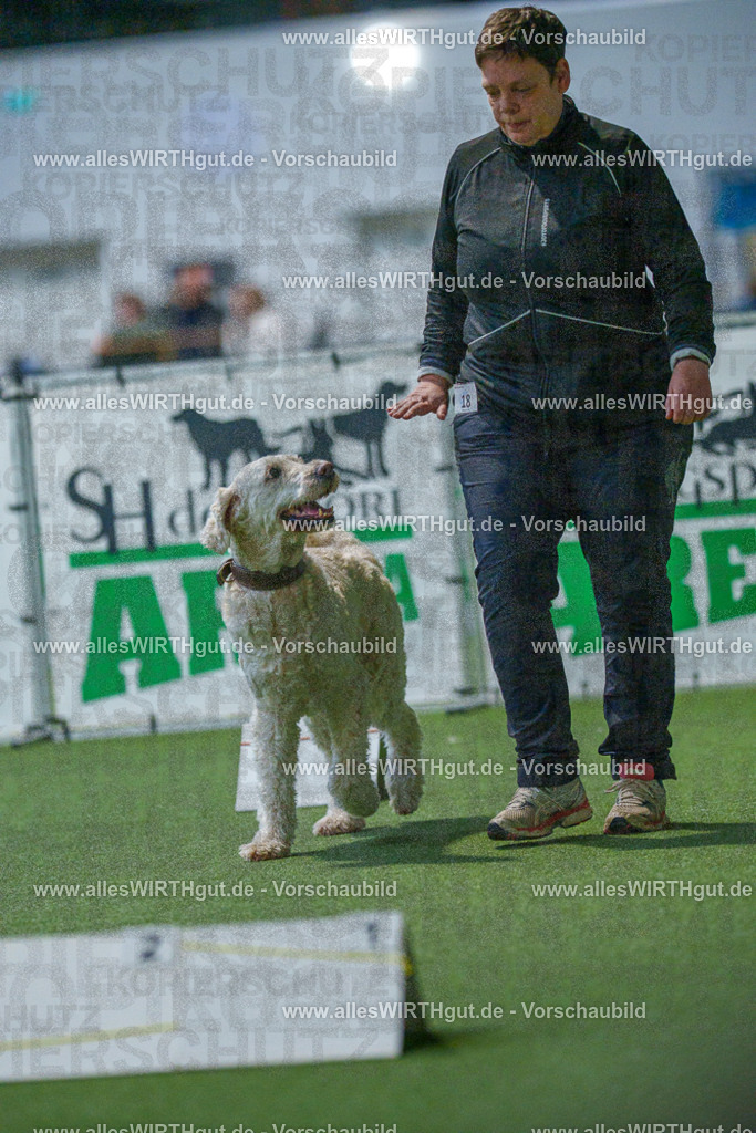 7R500763 | Professionelle Tierfotografie in Mönchengladbach von Daniel Wirth (allesWIRTHgut). Liebevolle & natürliche Bilder von Hunden & Katzen für unvergessliche Erinnerungen.