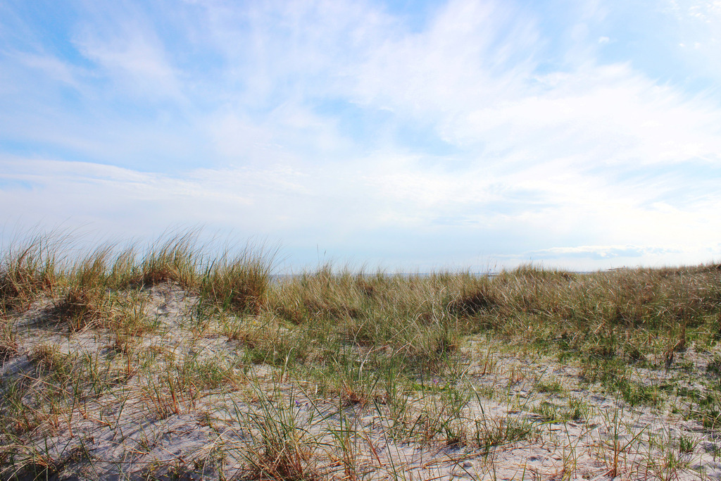 Wandbild: Düne am Südstrand Burgtiefe auf Fehmarn | Dieses Wandbild im Querformat zeigt die Düne am Südstrand auf Fehmarn im Frühling. Am Himmel sind viele Schleierwolken zu sehen. - Realisiert mit Pictrs.com