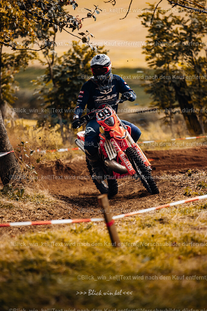 E68A3191 | blick_win_kel