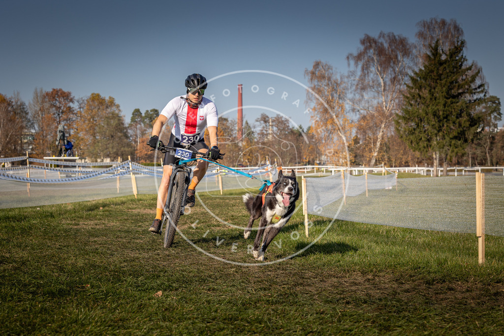 CaniXpix_0L8A8036 | Hundefotografie, Tierfotograf, Pfotenfotografie, Fotoshooting Hund, Hunde Portrait, Hundesport, Hundeportraits, Heideshooting, Hunde, Sportfotograf, Hundefotograf, Turnierhundsport, THS,  - Realisiert mit Pictrs.com
