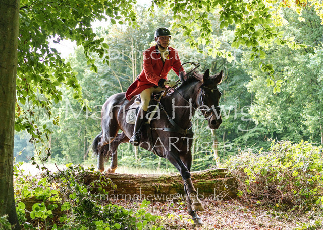 Jagd Knoop 26_MarinaHewigMCH02393 | Fotografie, FotoArt, PferdesportArt, Pferdesportfotografie, Landschaftsfotografie, Reisefotografie, Reise, Pferde - Realisiert mit Pictrs.com