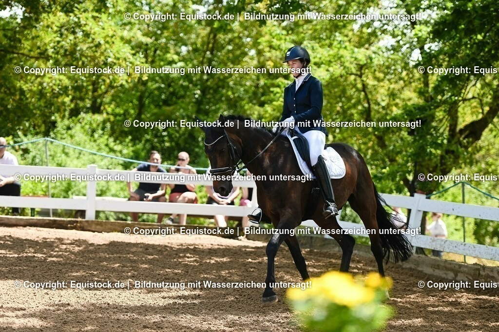 20230716_03_Dressurprfg. Kl.L - Tr._0004 | equistock