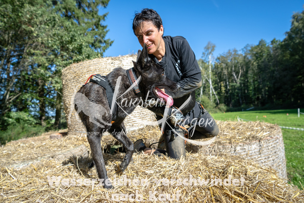 1237_ZZ91848-2 | kk-dogfotos