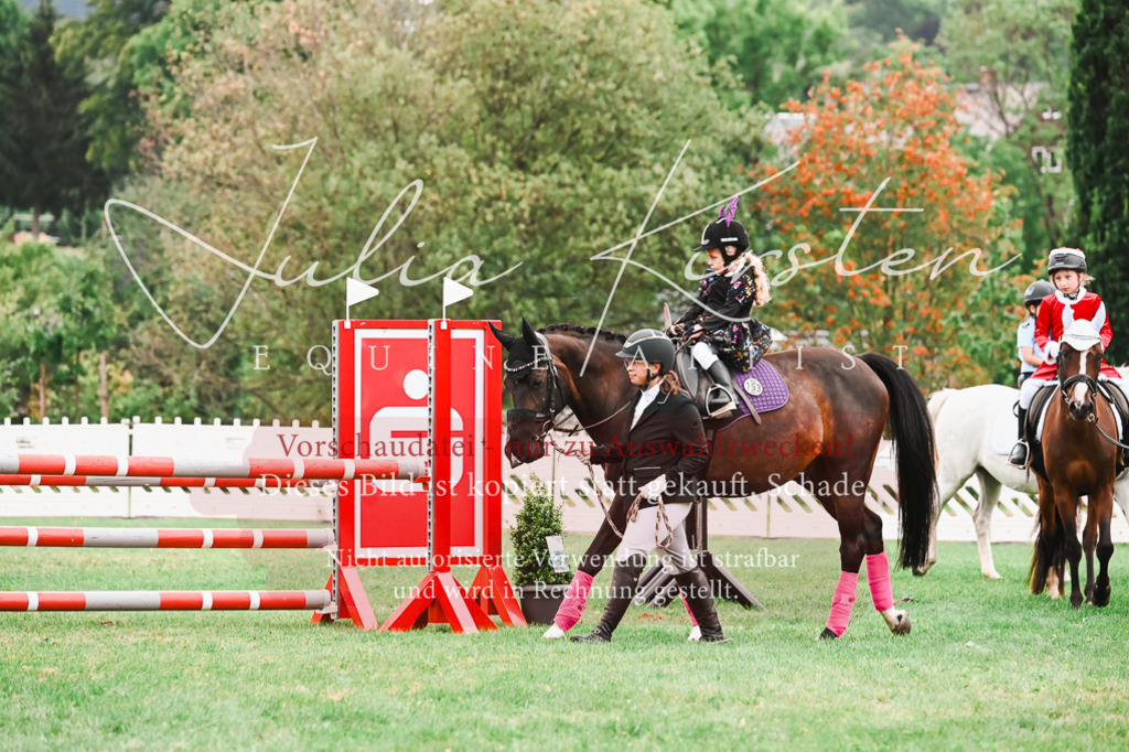 DSC_7586 | Pferde- und Turnierfotografie in Westsachsen. Pferdeportraits, Auftragszeichnungen und intuitive Kunst.