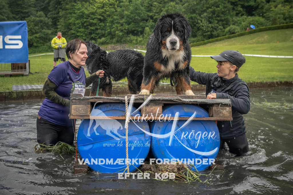 1549_ZZ94986 | kk-dogfotos