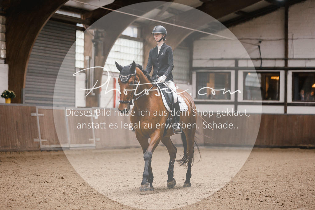 3I6A6749 | Stimmungsvolle Portraits und Reitsportfotografie im Ruhrgebiet und im Münsterland.

Pferdefotografie, Hundefotografie, Tierfotografie, Reportagen, Portraits von Tier und Mensch, Turnierfotografie in Bochum, Recklinghausen, Marl, Haltern am See, Dülmen.. - Realisiert mit Pictrs.com