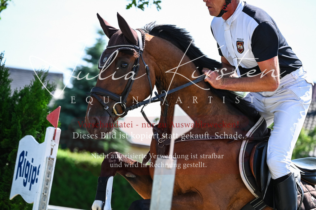 DSC_1296 | Pferde- und Turnierfotografie in Westsachsen. Pferdeportraits, Auftragszeichnungen und intuitive Kunst.