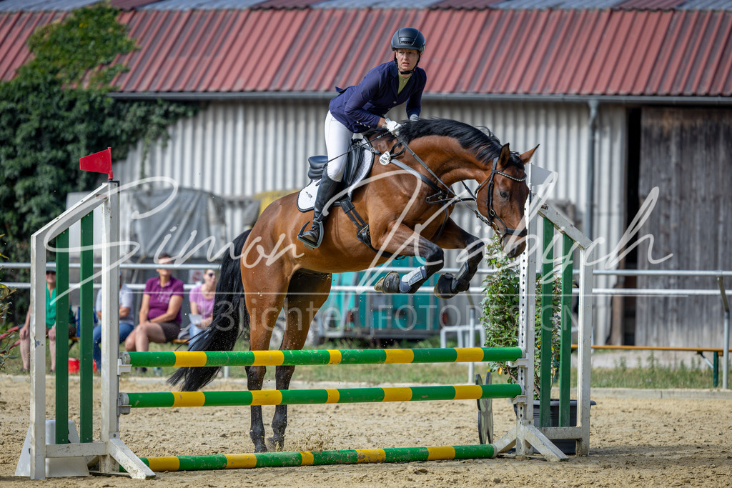 20260704-_3LI7045 | Tierfotografie Pferde, Hunde, Katzen, Haustiere.
Turnierfotografie Reitturniere, Reiten, Springreiten, Dressur in Hanau, dem Main-Kinzig-Kreis und dem Rhein-Main- Gebiet um Frankfurt