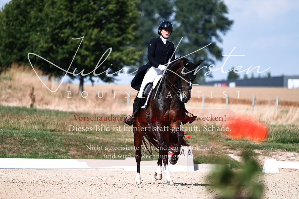DSC_3368 | Pferde- und Turnierfotografie in Westsachsen. Pferdeportraits, Auftragszeichnungen und intuitive Kunst.