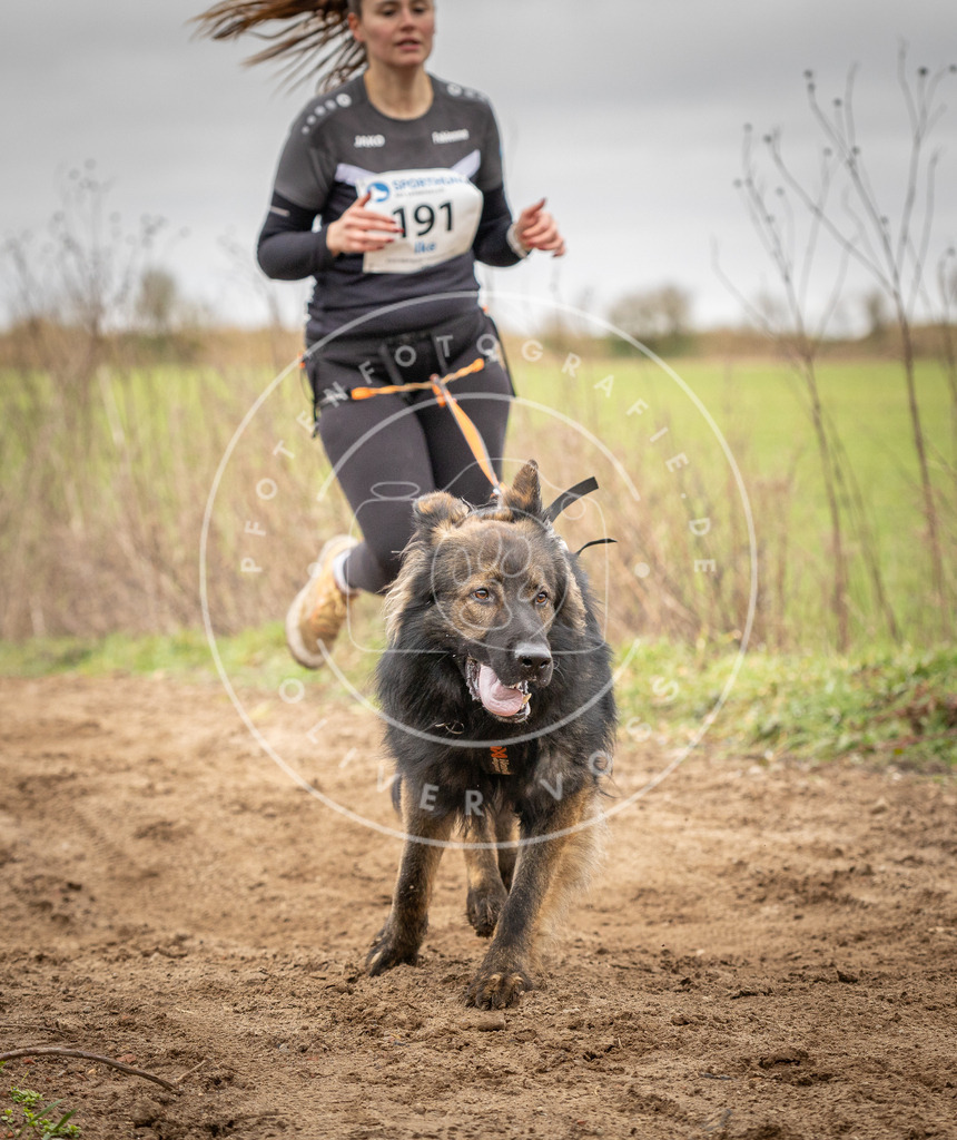 DV3A2193 | Hundefotografie, Tierfotograf, Pfotenfotografie, Fotoshooting Hund, Hunde Portrait, Hundesport, Hundeportraits, Heideshooting, Hunde, Sportfotograf, Hundefotograf, Turnierhundsport, THS,  - Realisiert mit Pictrs.com