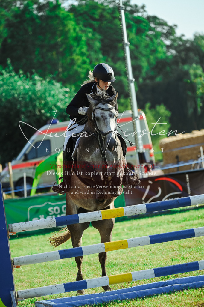 DSC_4462 | Pferde- und Turnierfotografie in Westsachsen. Pferdeportraits, Auftragszeichnungen und intuitive Kunst.