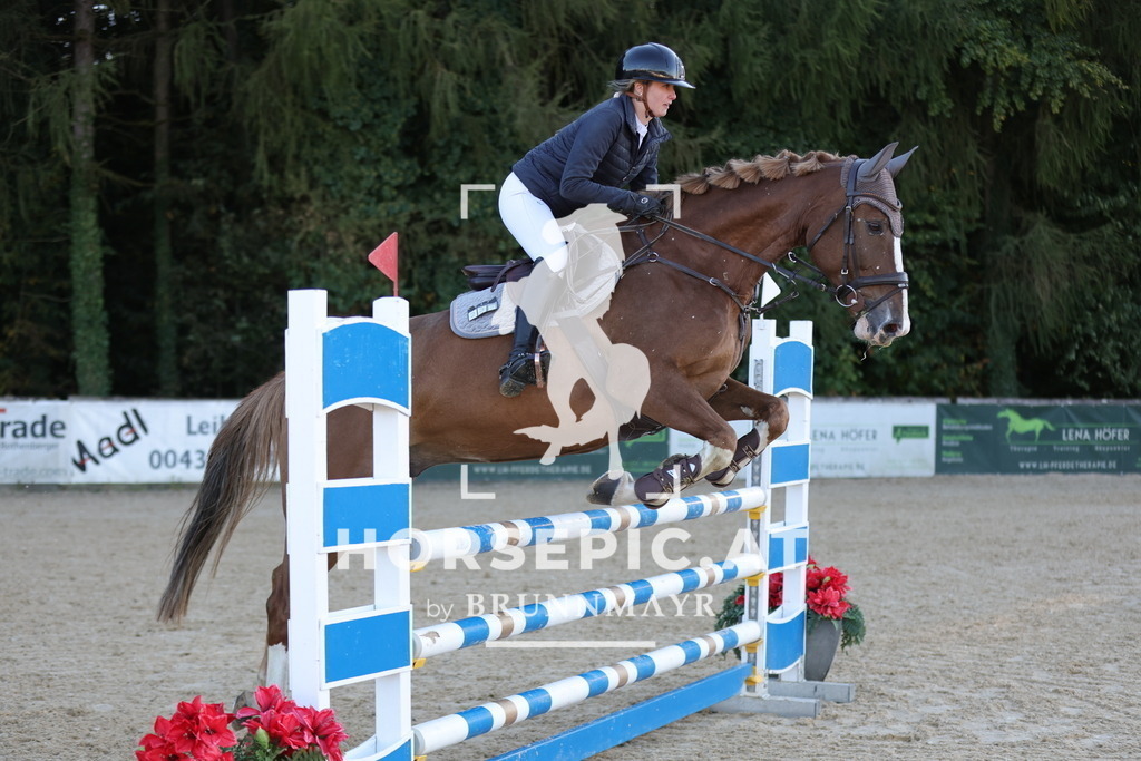 0P6A1956 | Willkommen bei Brunnmayr - Design & Fotografie – Ihrem Spezialisten für Reitturniere und Pferdeveranstaltungen in Oberösterreich, Salzburg und Bayern! Seit über 17 Jahren sind wir leidenschaftlich dabei.