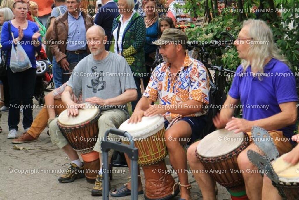 IMG_5052 | aragon-pics - Realisiert mit Pictrs.com