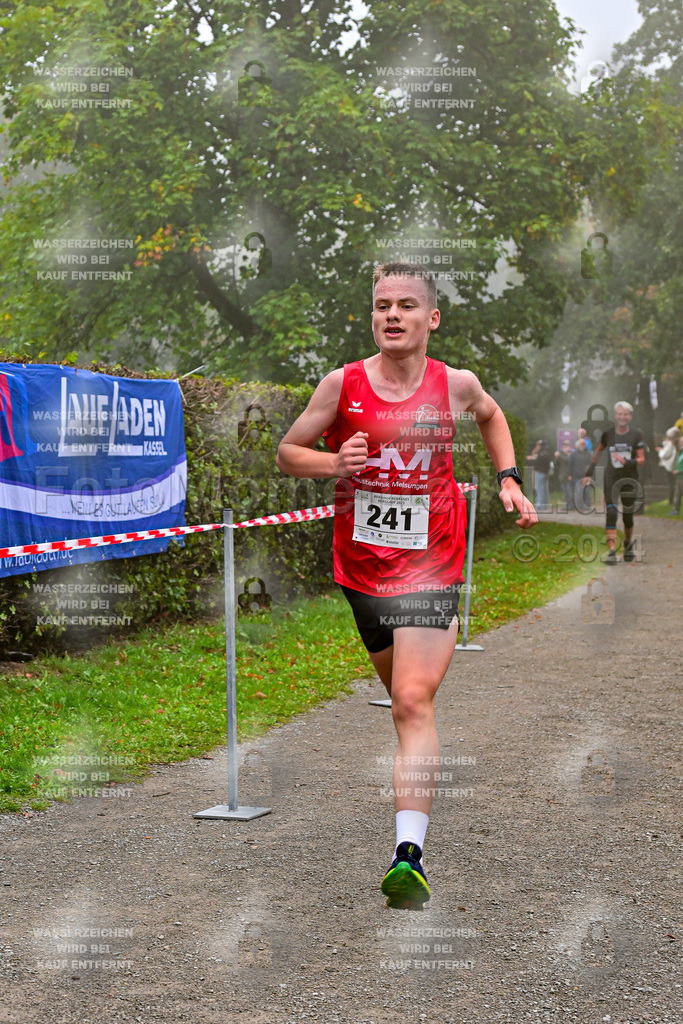 Z8N_1200 | la-psv - Realisiert mit Pictrs.com