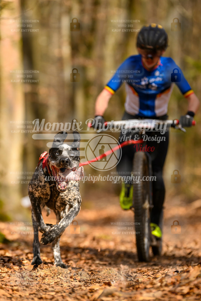 MompixPhotography_Habay2025_SA_SCO-41 | PayLife