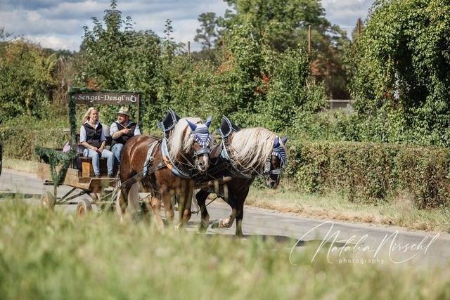 7V6A1763 | natalia-nirschl-photography