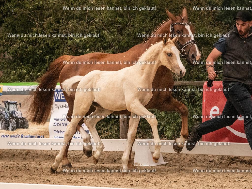 A10I0975 | photographylinaismer - Realisiert mit Pictrs.com