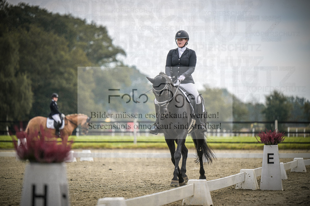 DOS_B501 | Entdecke hochwertige Reitturnierfotos von Foto Oger. Professionell, emotional und authentisch – jetzt Lieblingsmomente im Shop bestellen.Deutschlandweite Turnierfotografie. - Realisiert mit Pictrs.com