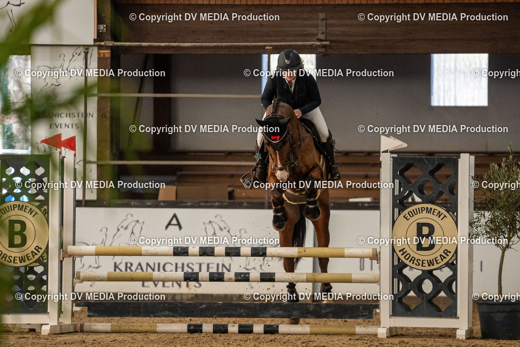 Kranichstein Tag 1-122 | dv-media-shop - Realisiert mit Pictrs.com