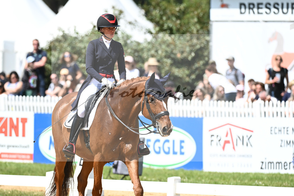 Baer_Superstar_12243747 | hf-fotografie - Realisiert mit Pictrs.com