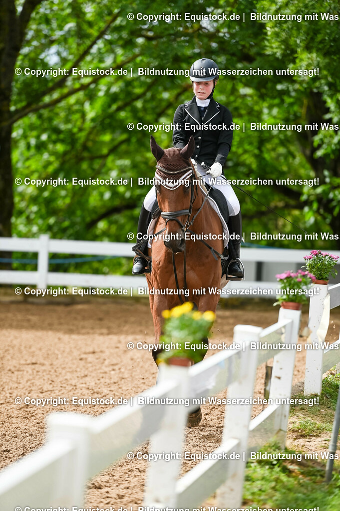 20230716_10-1_Reiter-WB Schritt - Trab - Galopp_0104 | equistock