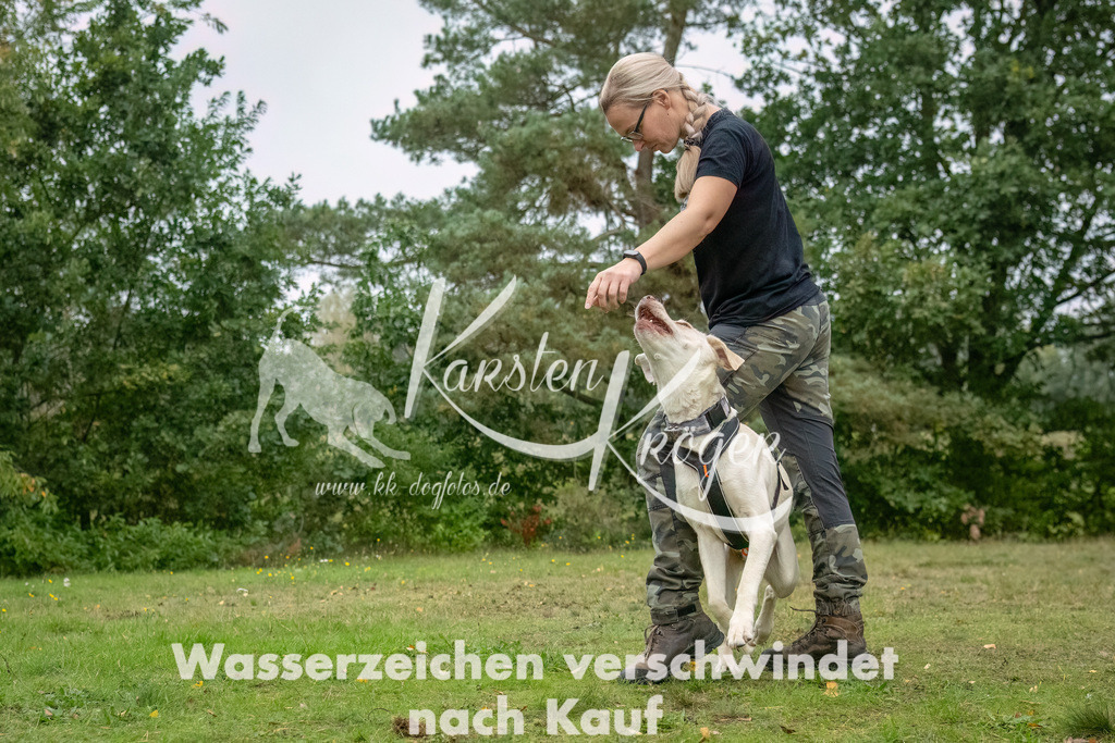 1221_ZZ90723-2-Bearbeitet | kk-dogfotos
