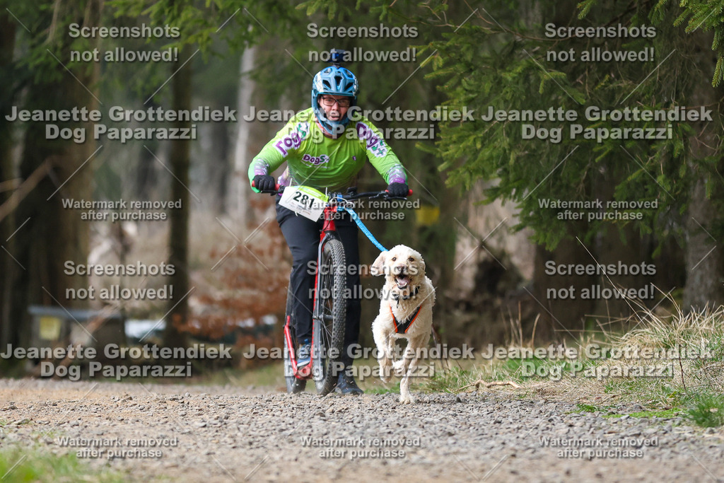 Dog Paparazzi - VCC26-514 | Dog Paparazzi Jeanette Grottendiek Fotografie & Videografie - Realisiert mit Pictrs.com