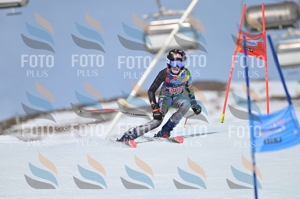 BGV_4212 | holidayphoto