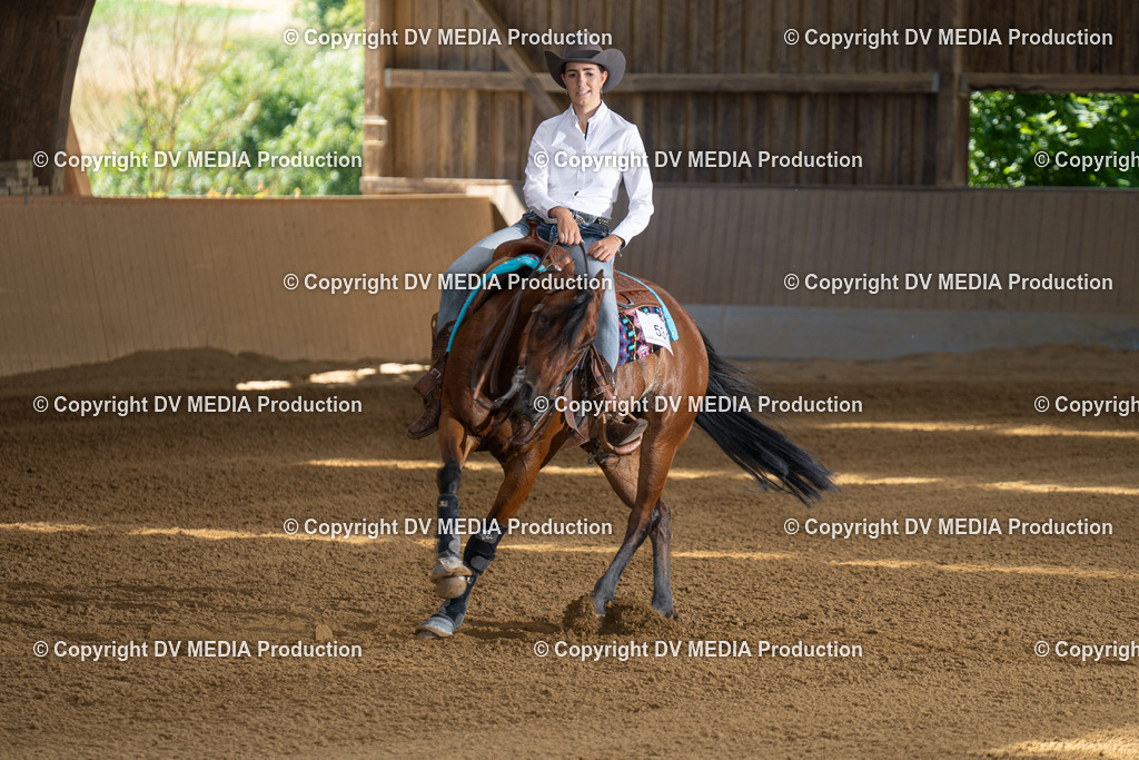 DSC00004 | dv-media-shop - Realisiert mit Pictrs.com