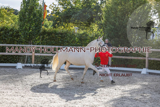 DR (1237 von 1791) | mandyhollmannphotographie