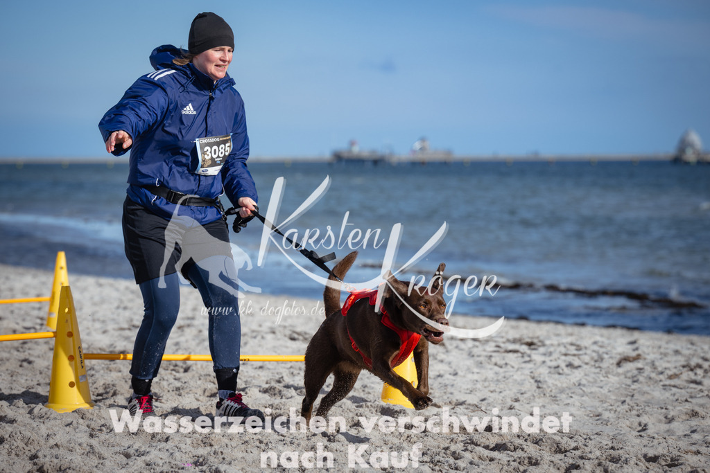 1348_ZZ93726 | kk-dogfotos