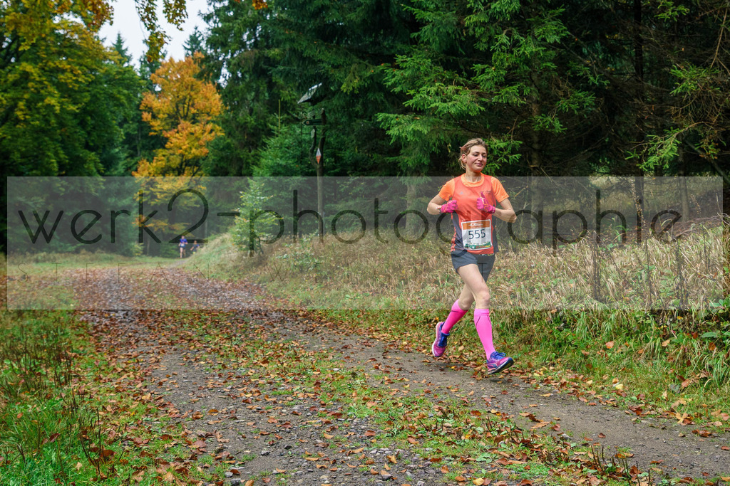 Herbstlauf 2017 | Neuhaus/Rwg. - Masserberg am 1. Oktober 2017