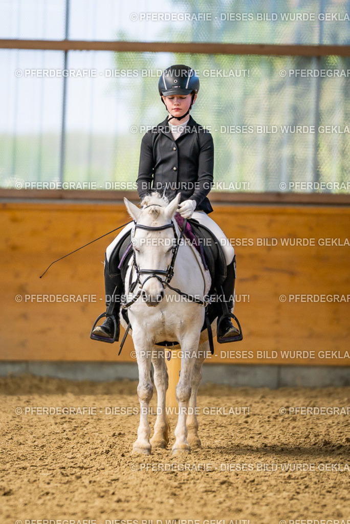 DSC02721 | Pferdegrafie