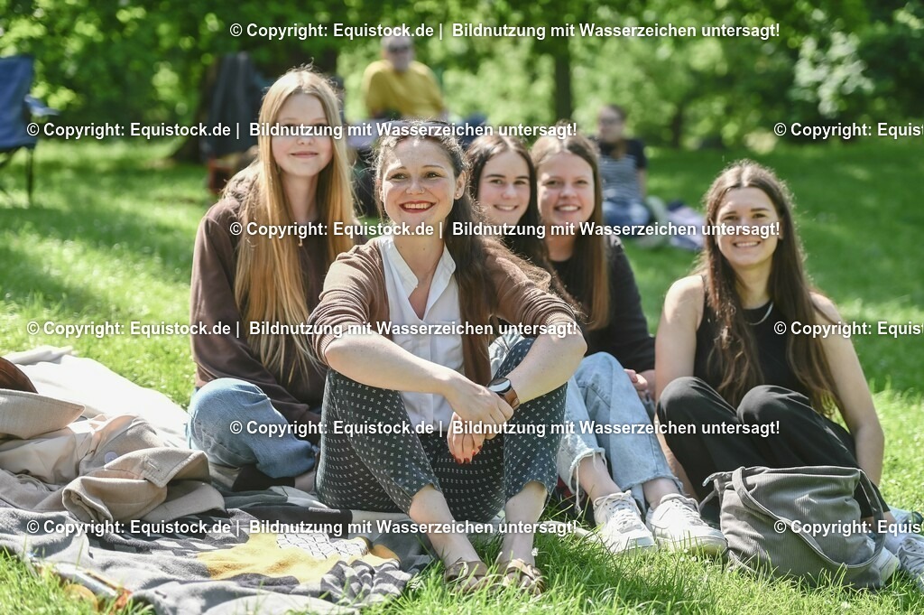 D78_2874 | equistock