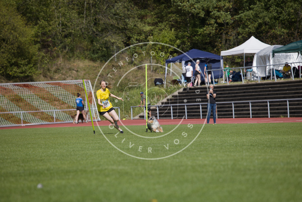 0L8A7004 | Hundefotografie, Tierfotograf, Pfotenfotografie, Fotoshooting Hund, Hunde Portrait, Hundesport, Hundeportraits, Heideshooting, Hunde, Sportfotograf, Hundefotograf, Turnierhundsport, THS,  - Realisiert mit Pictrs.com