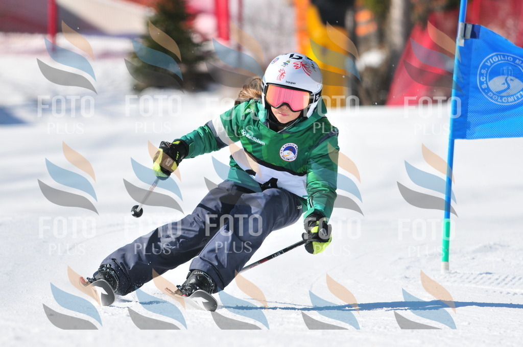 C3057 | holidayphoto