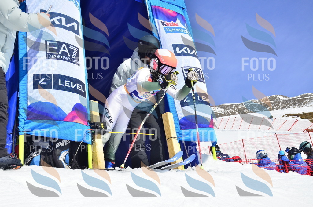 _ELE0488 | holidayphoto