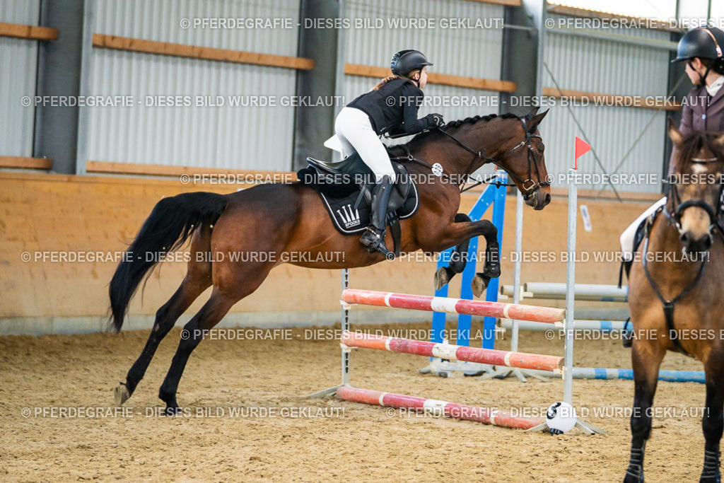 DSC00619 | Pferdegrafie