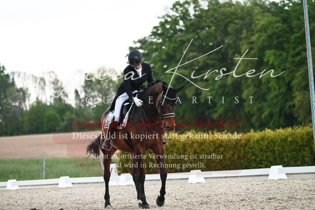 20230514_JK-Röhrsdorf-21-549 | Pferde- und Turnierfotografie in Westsachsen. Pferdeportraits, Auftragszeichnungen und intuitive Kunst.