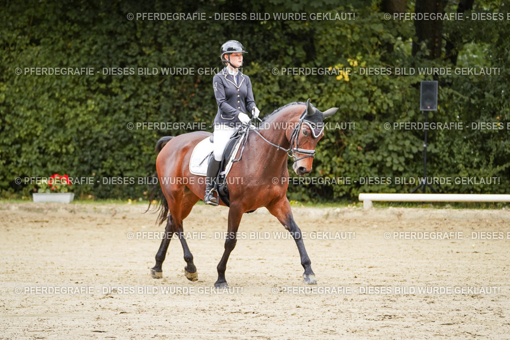 DSC08972 | Pferdegrafie