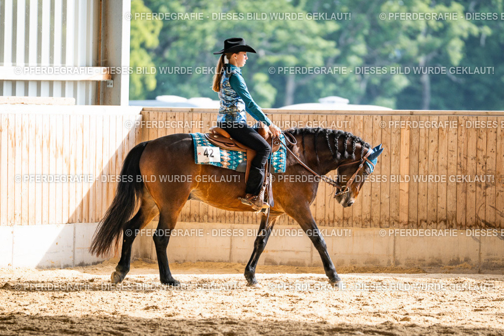 DSC08488 | Pferdegrafie